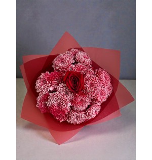 Crimson Frost Rose & Chrysanthemum